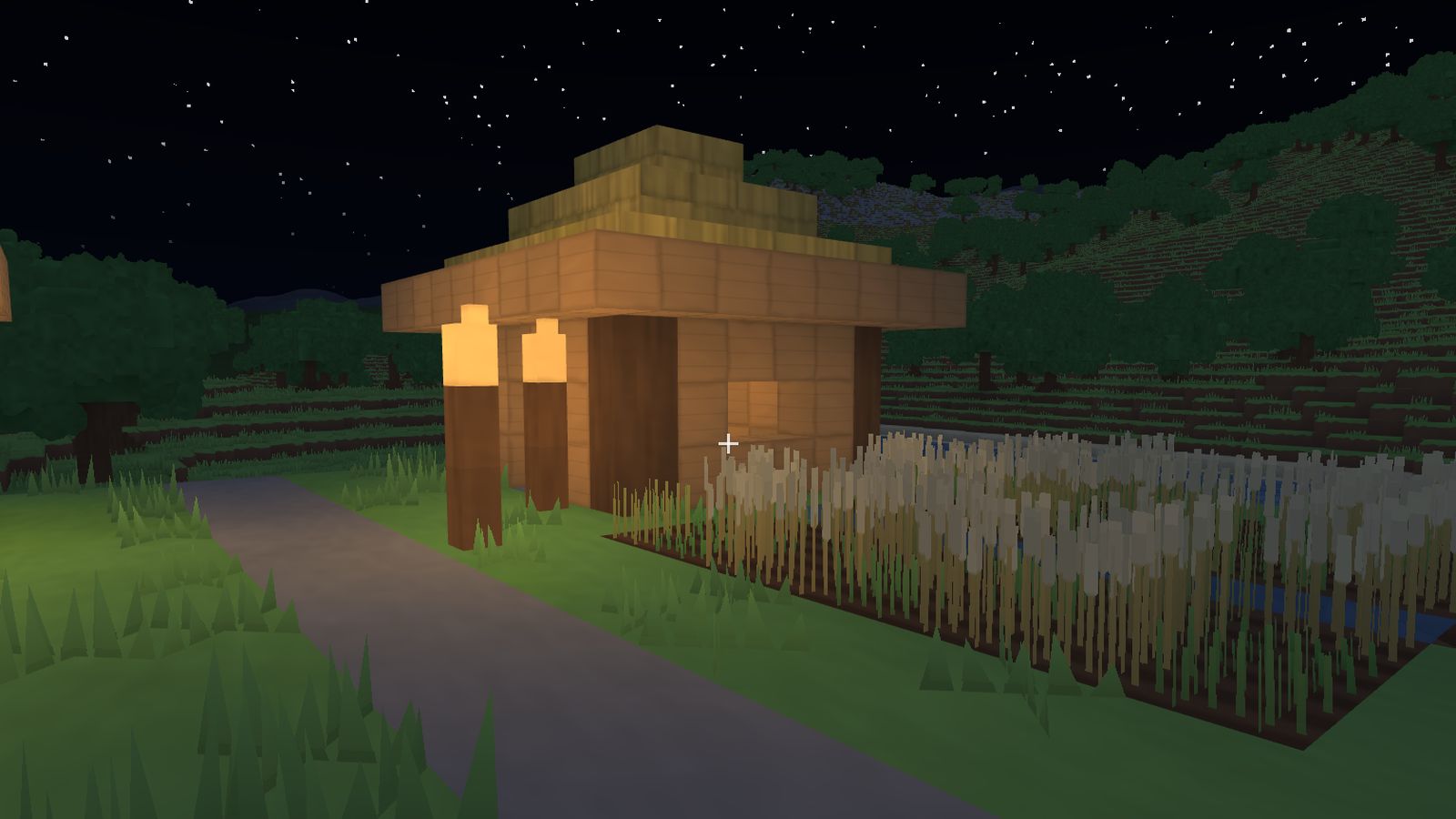 The village at night with lit windows